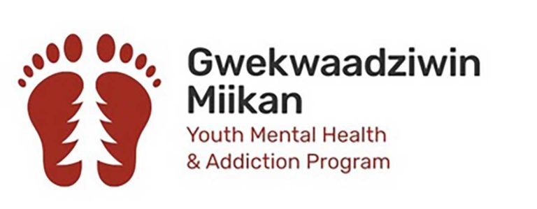 Gwekwaadziwin Miikan receives funding for more beds; new report puts numbers to program outcomes