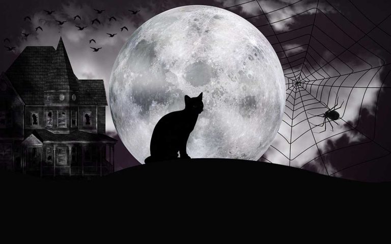 ???? So many ways to get your spook on this Hallowe’en