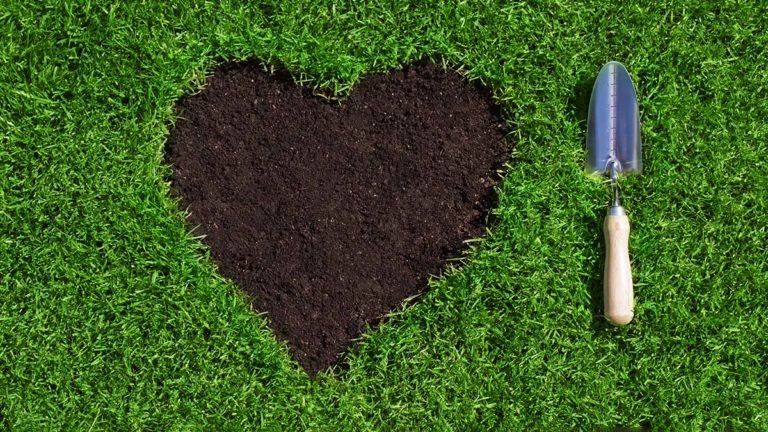 Western Community Garden group and school students to create heart garden