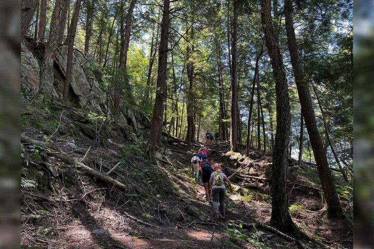 Mining company stakes Escarpment Biosphere Conservancy hiking trail