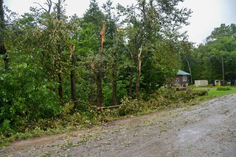 Damaging winds shear Kaboni trees during July 24 tornado watch issued for Manitoulin