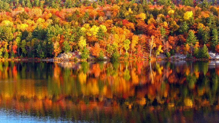 Community party planned this weekend for Killarney’s 200th birthday