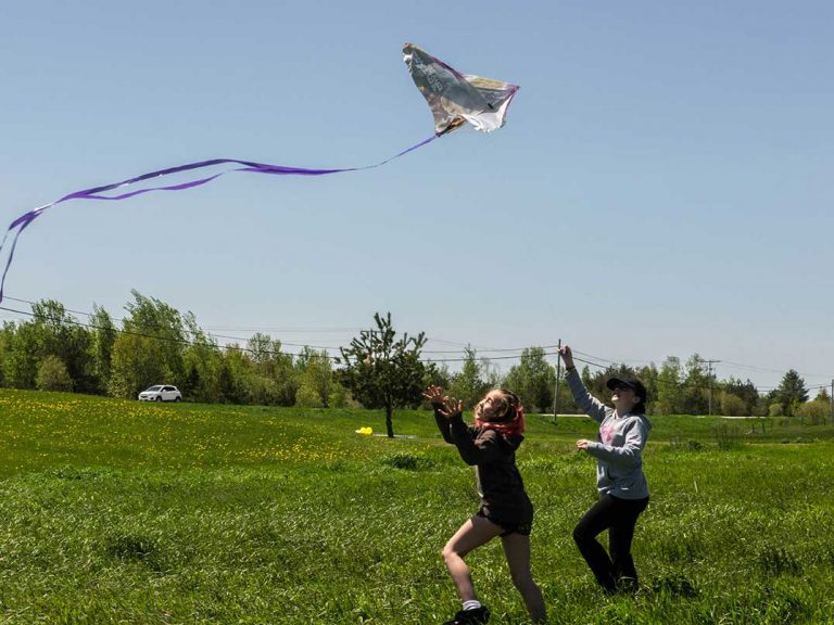 Kite Festival hosted at community garden draws huge crowd