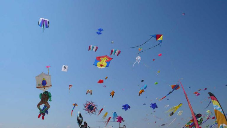 Inaugraul kite festival set to fly high