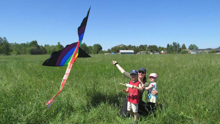 Wind provides the perfect weekend for the Go Fly a Kite Fest