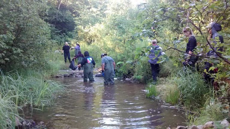 Lakeview School aids Manitoulin Streams in M’Chigeeng Creek restoration