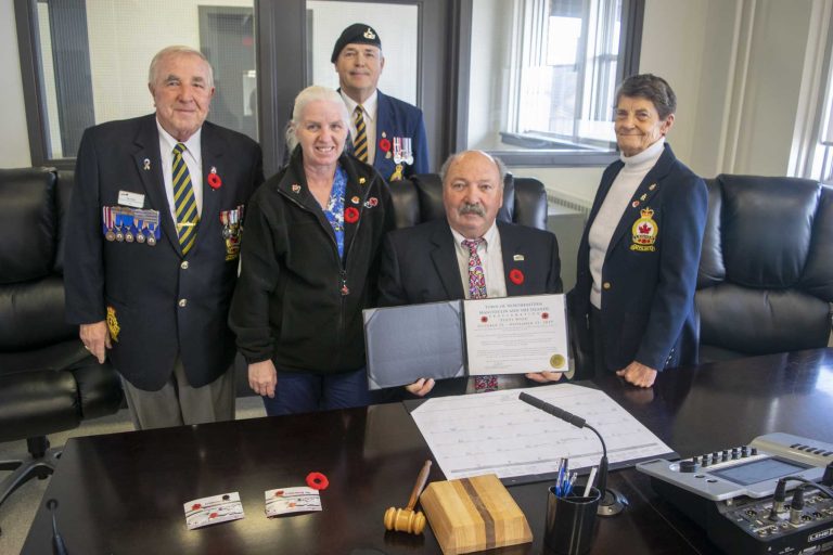 Wear a poppy to remember the high cost of war