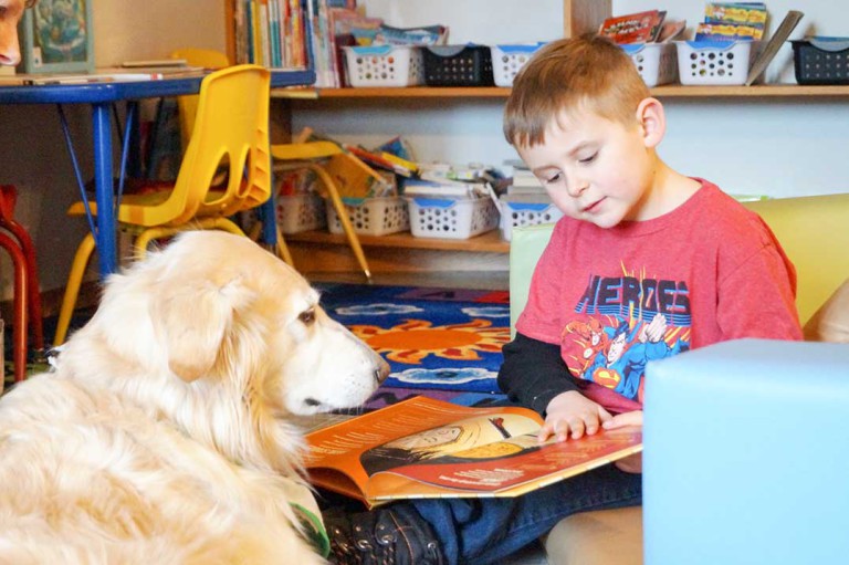 Enjoy a ‘library paws’ in Kagawong