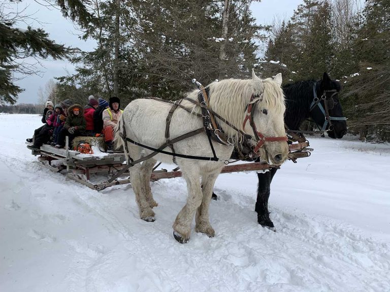 Central Manitoulin Lions, Dewar family host horse and sleigh adventure