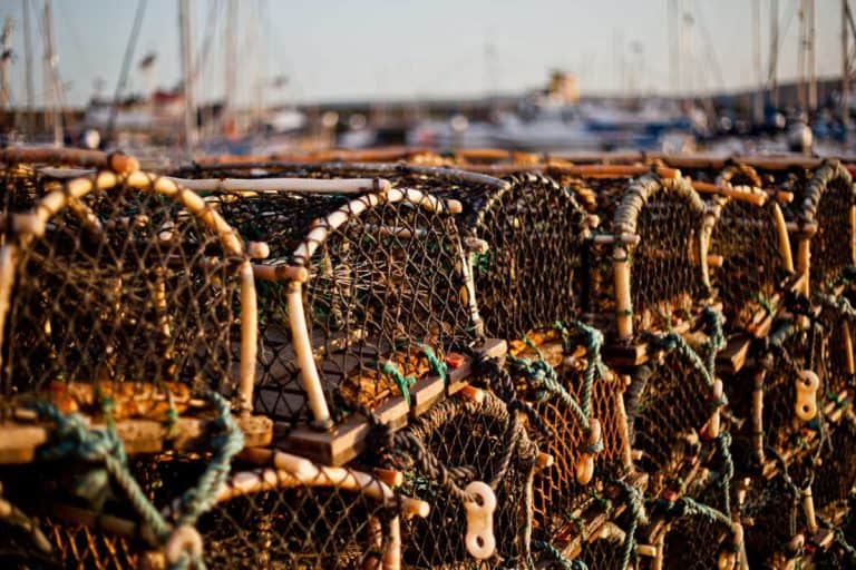 PRESS RELEASE: Anishinabek Nation in solidarity with Mi’kmaw fishers