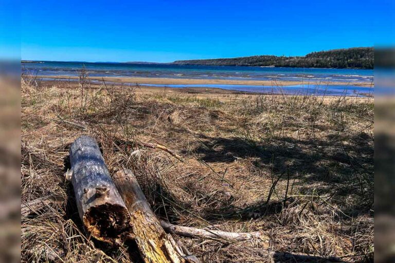 All Great Lakes at near-record lows