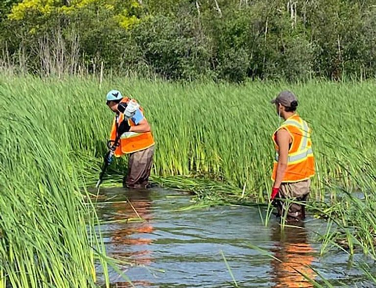 Provincial funding aids Manitoulin Streams Smith Bay Creek rehabilitation