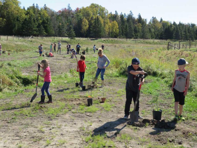 Island community benefits from busy year for Manitoulin Streams