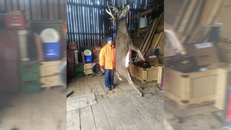 Spring Bay woman harvests 16-point “deer of a lifetime”