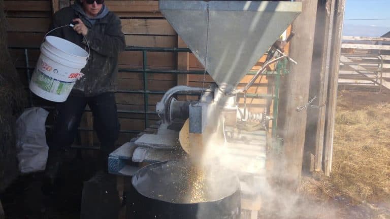 Beef farmer Lynn May never stops learning  and continues to adjust her safe farm practices