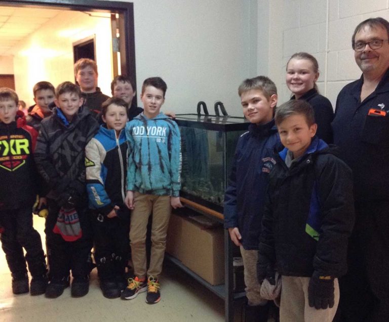 Two Island elementary schools raising fish in micro-hatcheries again this year