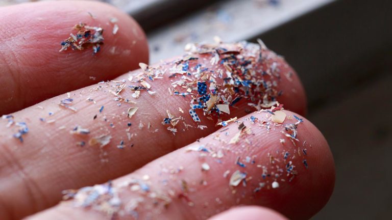 Lake Huron microplastics still trending high say Coast Watchers