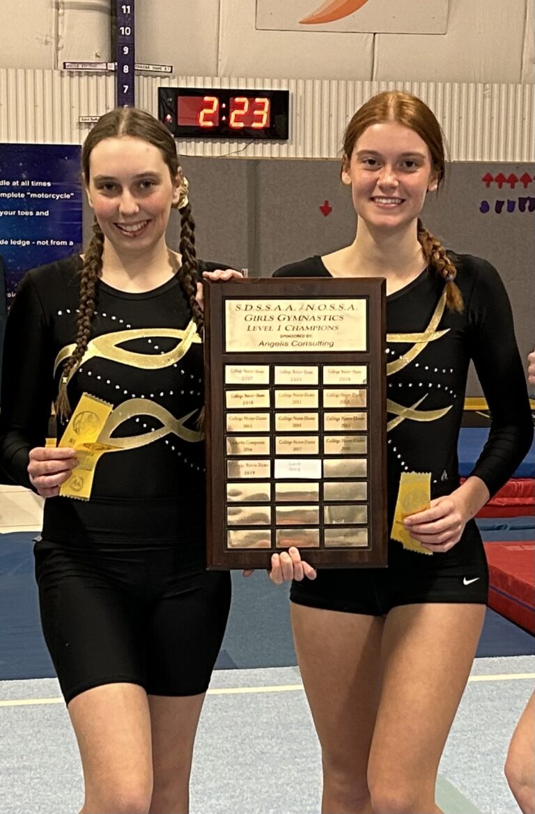 MSS gymnasts do well at NOSSA