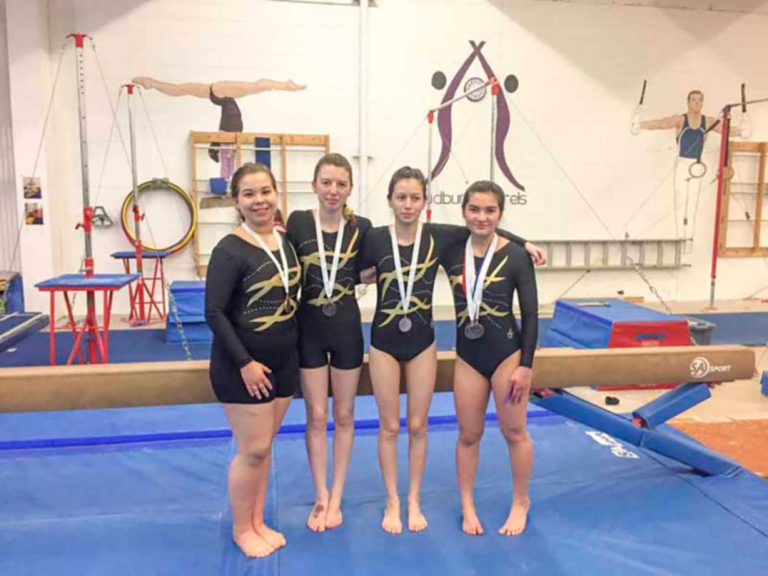 MSS gymnastics team qualifies for provincial championships
