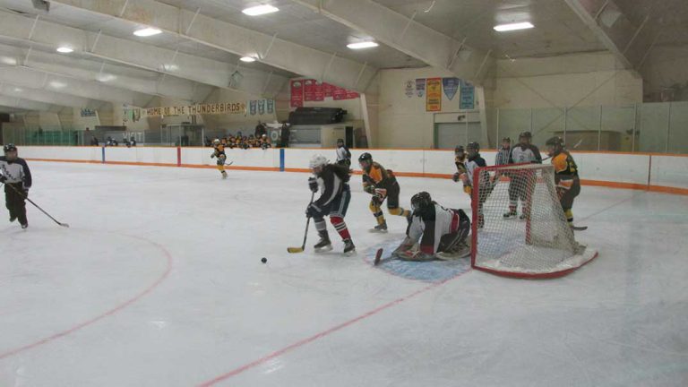 MSS Mustangs girls’ hockey team opens season with two wins