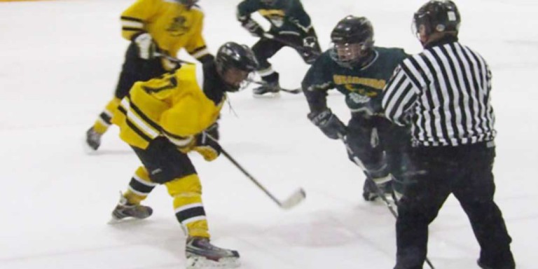 Island man says fans know how to conduct themselves at hockey games