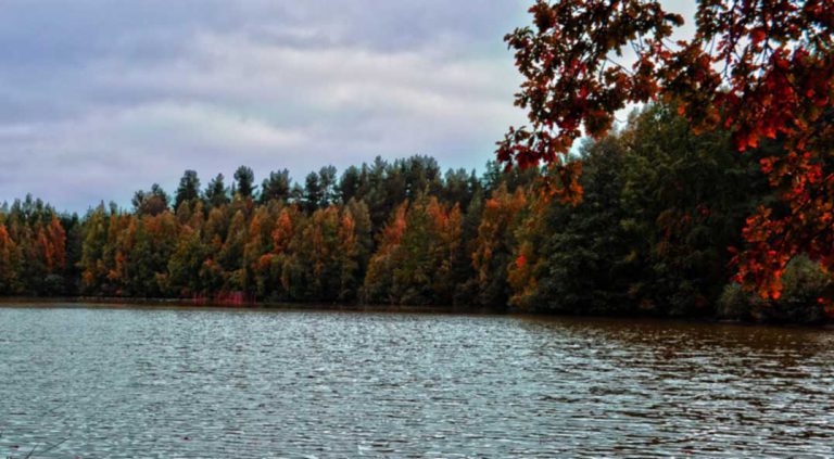 Op-ed: A love letter for our Natural Heritage System on Manitoulin Island