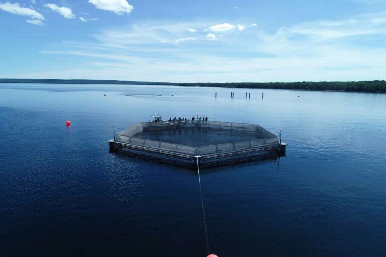 Sheshegwaning First Nation’s Odawa Island (fish farm) has just finalized a new partnership with Cedar Crest Farms/Springhills Fish to open up a new fish farm in the community.