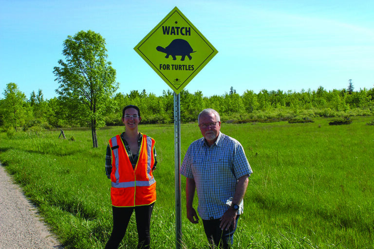 New Island organization dedicated to turtle survival