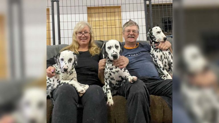 New-ish to Manitoulin: Darlene and Nathan Nicholson