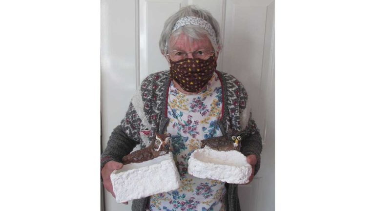 Spring Bay woman creates beautiful papier-mâché dishes for This Old Newspaper contest