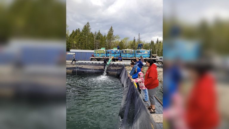 Sheshegwaning First Nation installing fish net pens