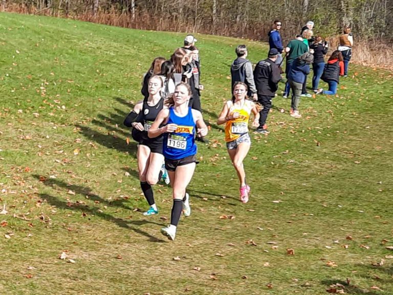 MSS Mustangs runners fare very well at provincial meet