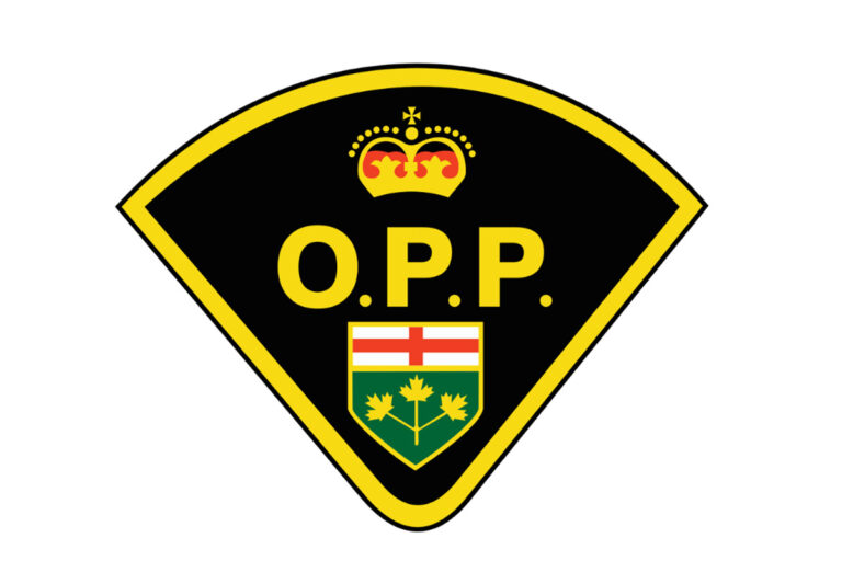 Imitation firearm and suspected drugs seized on Manitoulin Island
