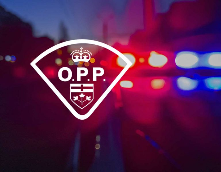 Several guns stolen from season residence in Dawson Twp