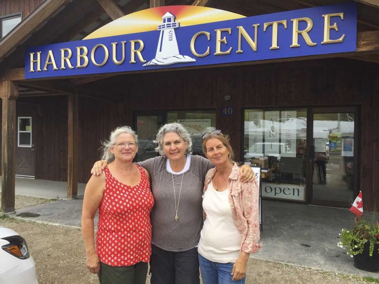 Out-Rageous 2019—an exhibition of paintings at the Gore Bay Harbour Centre Gallery