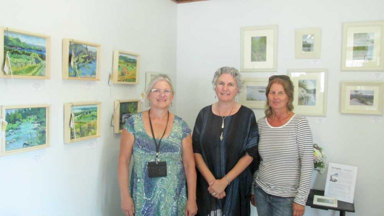 Out-Rageous: A painting exhibition on at Fish Point Studio in Gore Bay