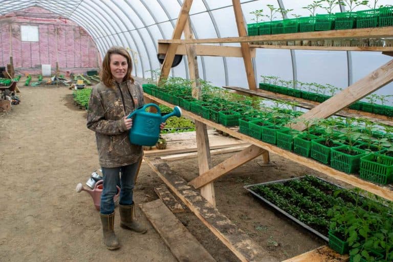 Pike Lake Farms expands syrup operations, adds year-round greenhouse