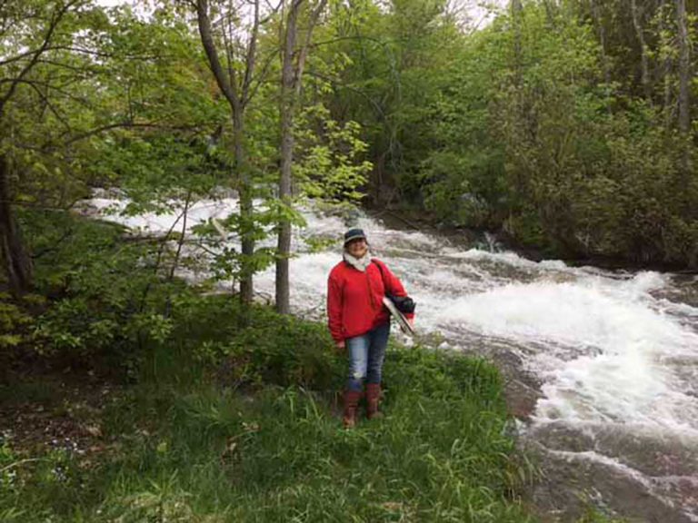 Artists encouraged to get plein air  painting in the Northeast Town