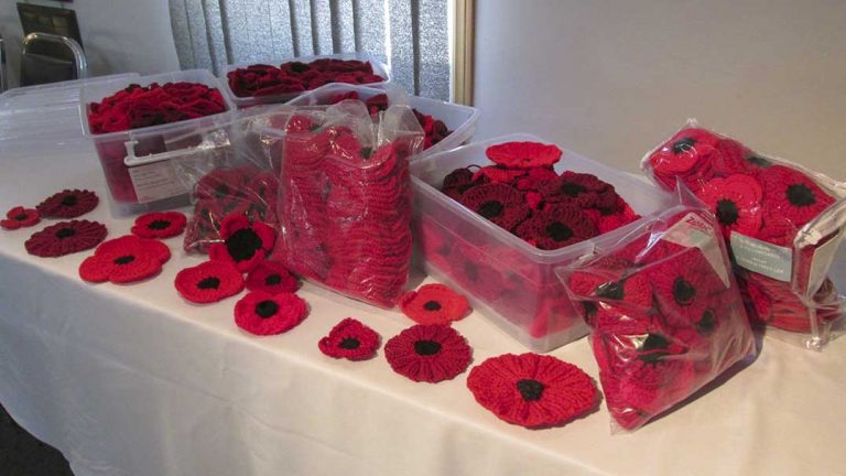Community support tremendous for Gore Bay Legion poppy project