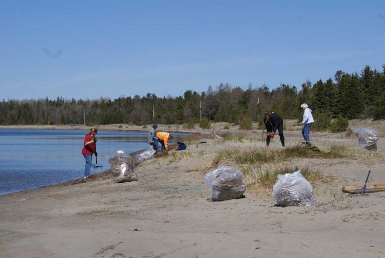 Work continues at Providence Bay Beach