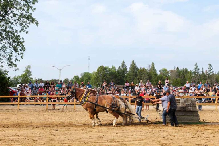 Rootin’ Tootin’ Revelry at the 142nd Providence Bay Fair Jamboree: Barnyard Bustin’ Good Times