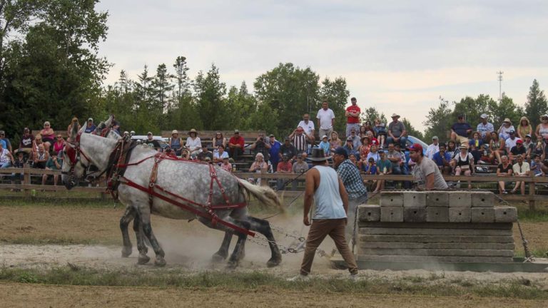 Providence Bay Fair draws in huge crowds for weekend full of fun