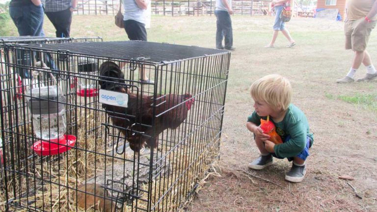 Providence Bay Fair 135 years strong