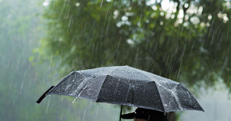 Special Weather Statement: Significant rainfall up to 50 mm expected tonight into tomorrow morning