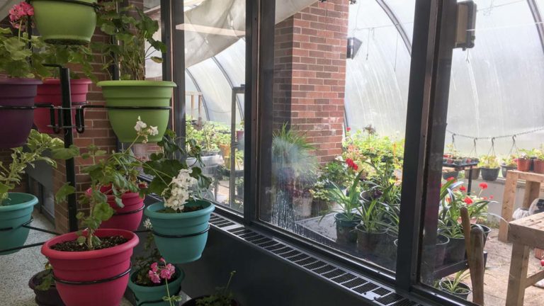 Rainbow School Board one of two in Canada to be EcoCertified