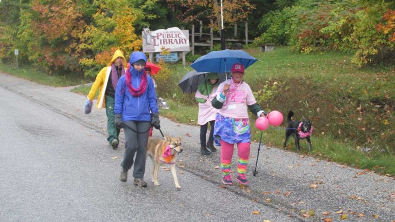 Cancer survivor takes virtual tour of cancer research centre
