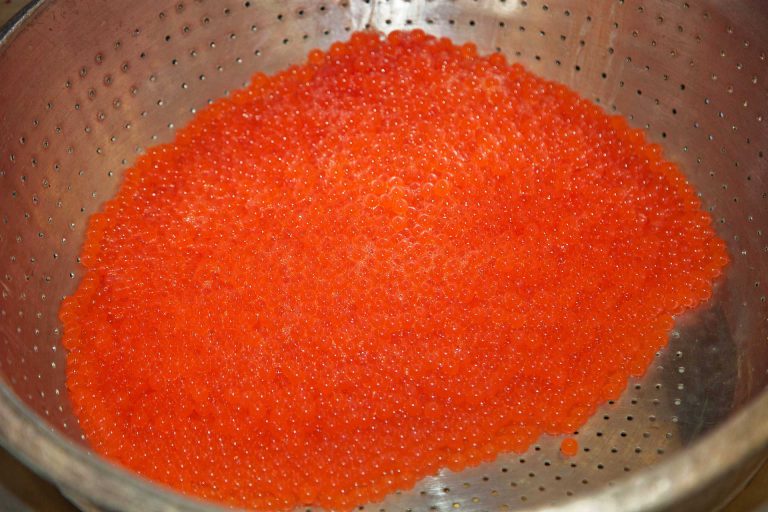 Gore Bay Fish and Game Club collects eggs for school micro-hatcheries