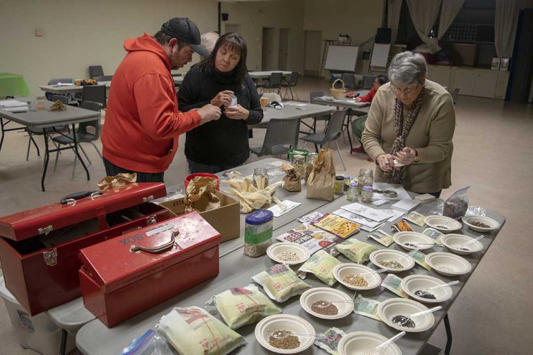 Gardeners learn to grow, save and plant seeds at workshops