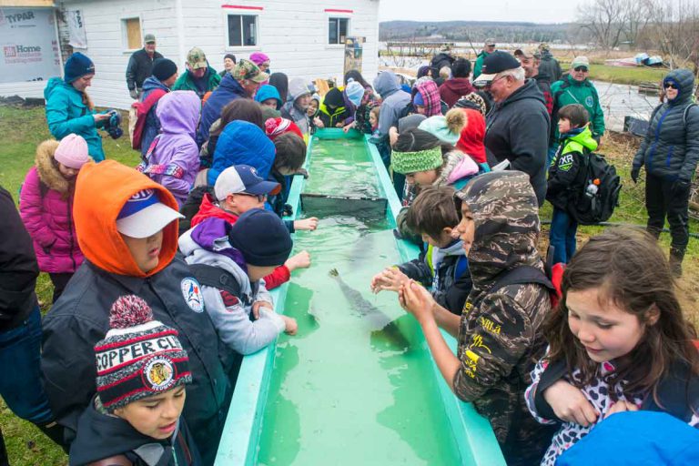 Island students get reel takeaways from Sheg hatchery visit