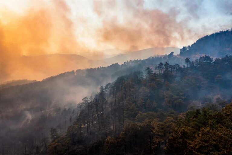 Protect yourself from wildfire smoke